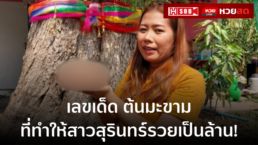 เลขเด็ด ต้นมะขามที่ทำให้สาวสุรินทร์รวยเป็นล้าน!